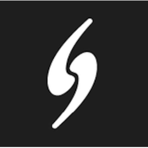 SYNERGY CONSULTANTS CRM + Prozesse GmbH (Job via XING.com) Logo