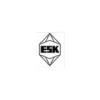 ESK-SIC GmbH Logo