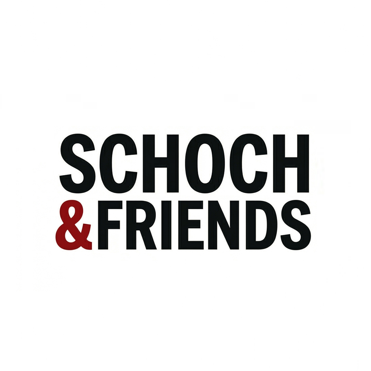 Schoch Consulting GmbH Logo