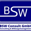 BSW Consult GmbH Logo
