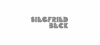 SIEGFRIED BECK Werkzeugbau-Stanztechnik Logo