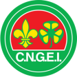 CNG Nord / NL Gommern Logo