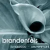 brandenfels landscape + environment PartG mbB Logo