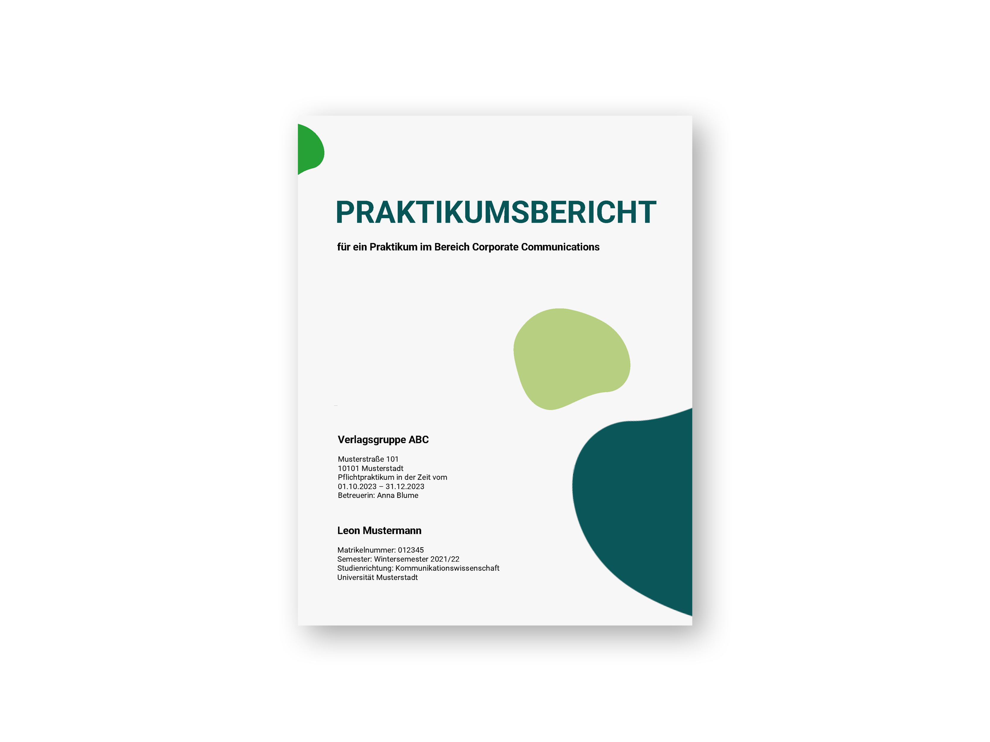 Praktikumsbericht_PI