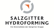 Salzgitter AG Logo