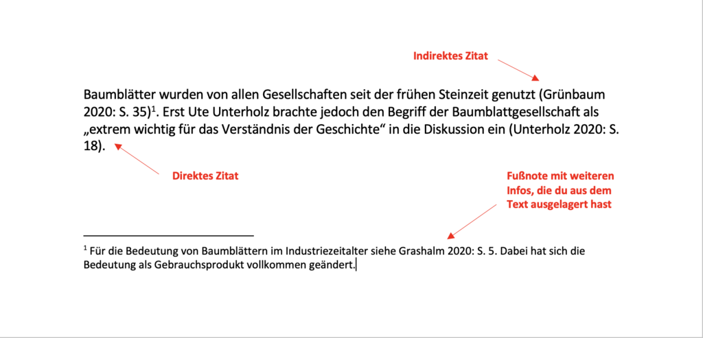 Beispiel Harvard Zitierweise