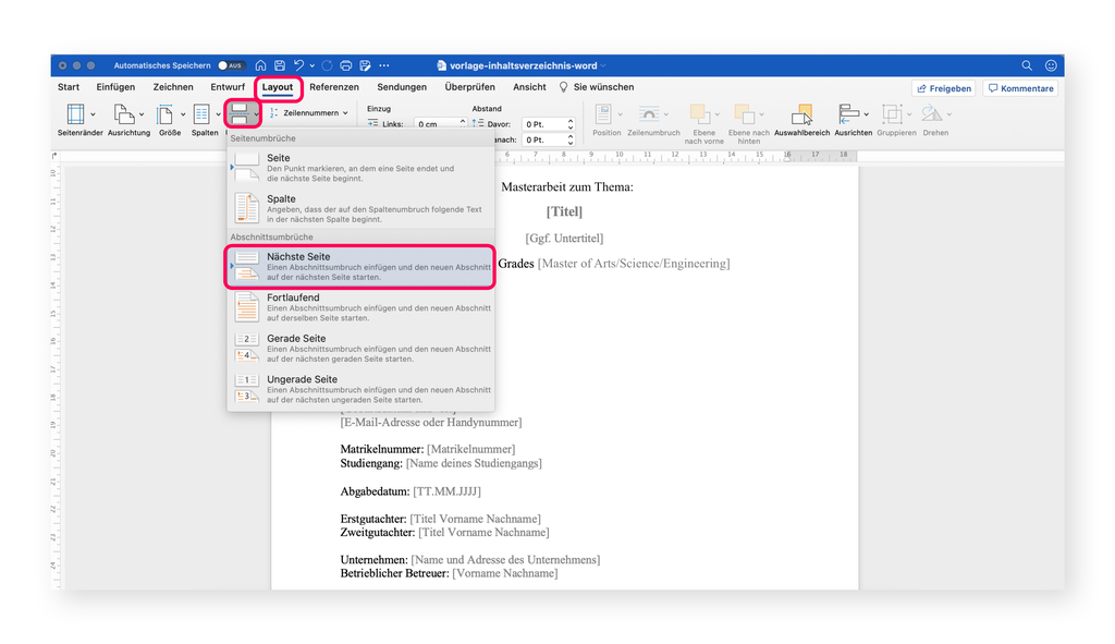 In der Masterarbeit einen Abschnittsumbruch einfügen