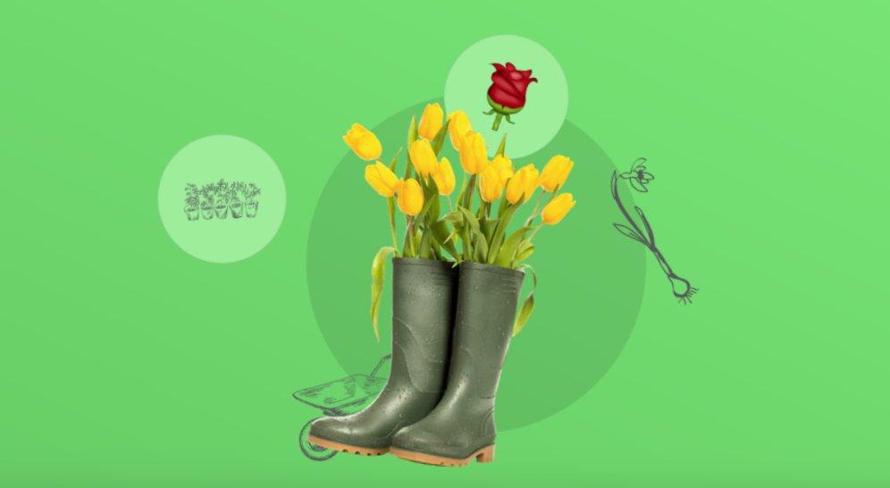 Ausbildung Gartner M W Berufe Azubi De